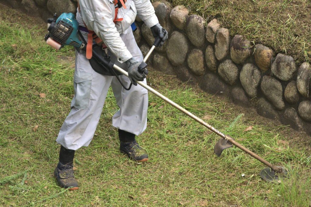 庭じまいの雑草撤去作業